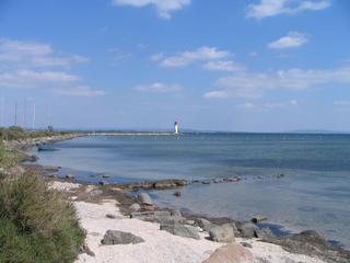 Les cifelles des Glénans (Glénans 1/3)