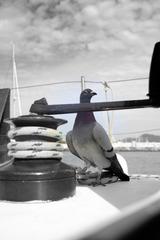 album/DSC_0432.jpg