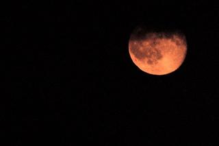 album/DSC_0546.jpg