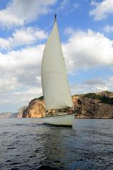 album/DSC_0568.jpg