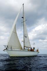 album/DSC_0574.jpg