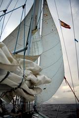 album/DSC_0585.jpg