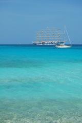 album/Gregal_tobago.jpg