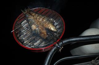 album/barbecue.jpg