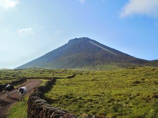 album/mont_pico.jpg
