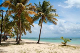 album/plage_gd_bourg2.jpg