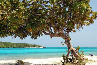 Tobago Cays, Jour 1 : Le ravissement à votre porte