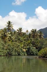 Du vert, de l'eau, de l'eau : Tropicale Dominique