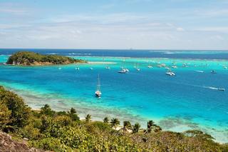 Tobago Cays, Jour 2 : Le ballet des tortues